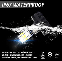 M6 LED Headlight Bulb 6000LM Aluminum Black